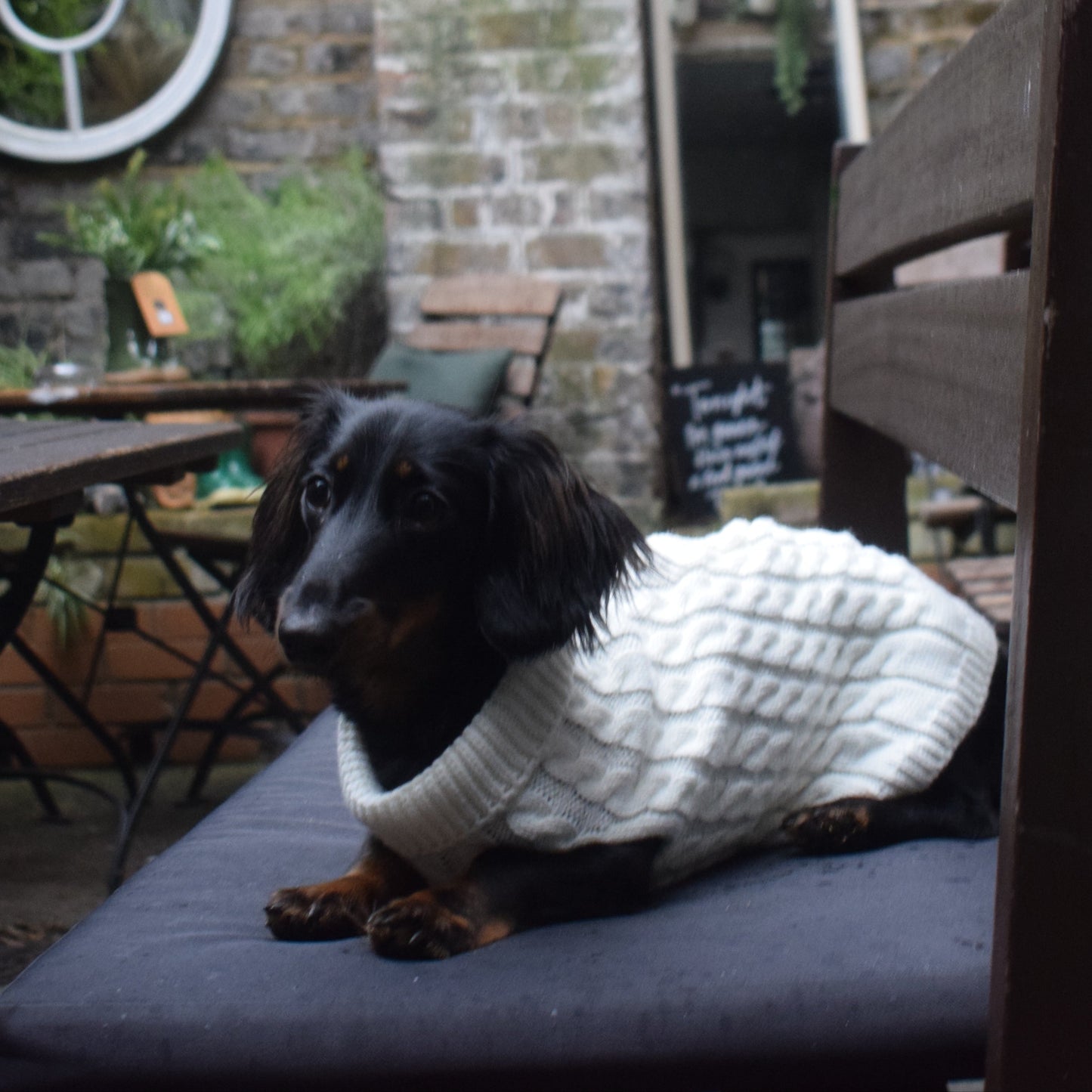 The Kensington Knit