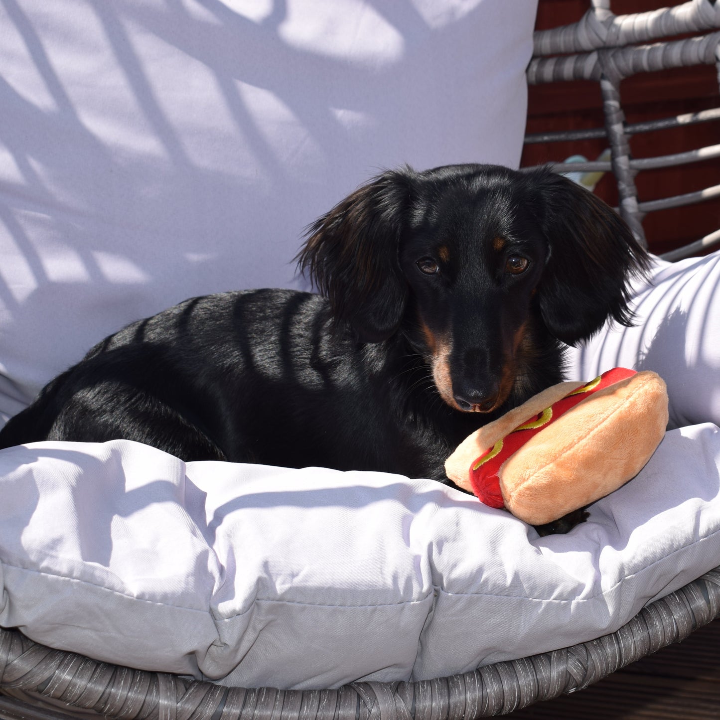 Sausage for your Sausage Toy