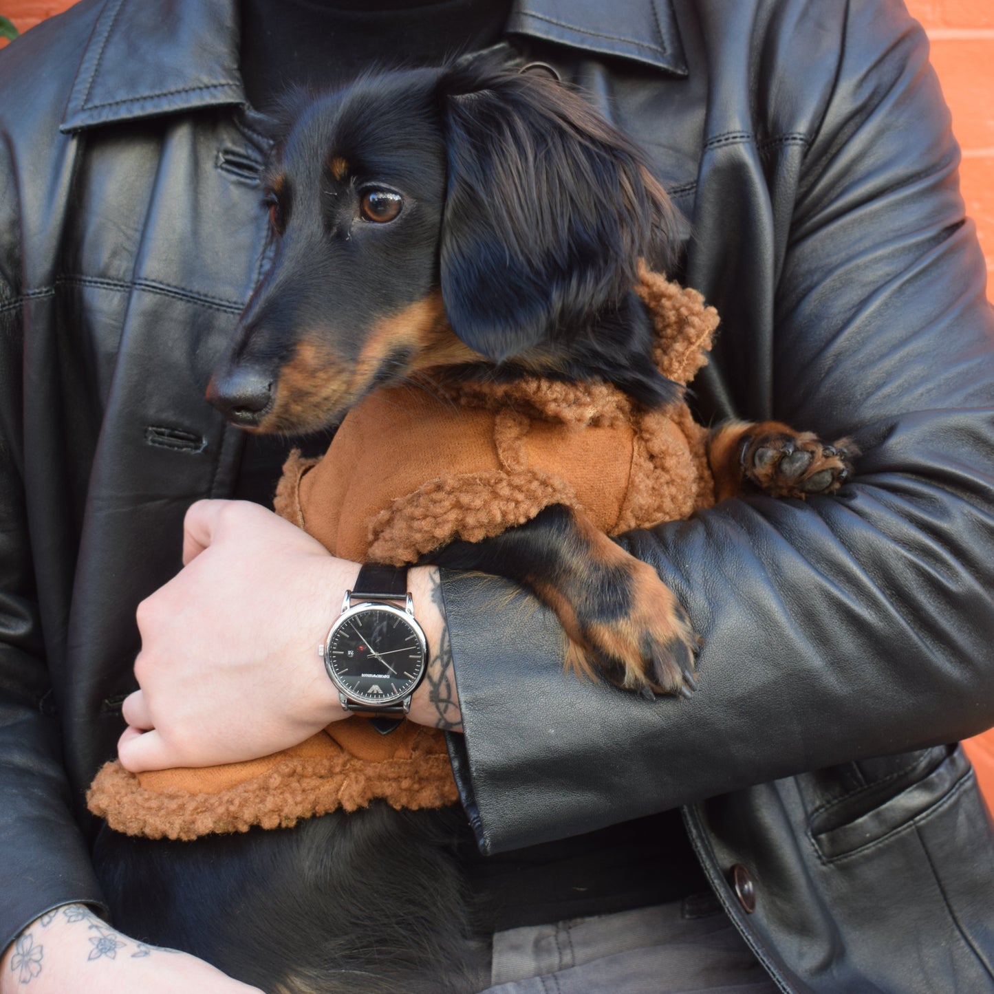 The Soho Sherpa