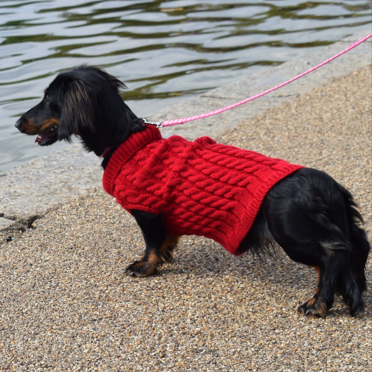 The Kensington Knit