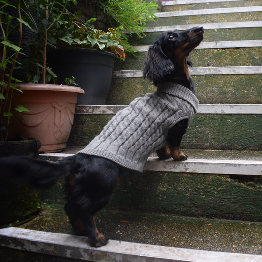 The Kensington Knit