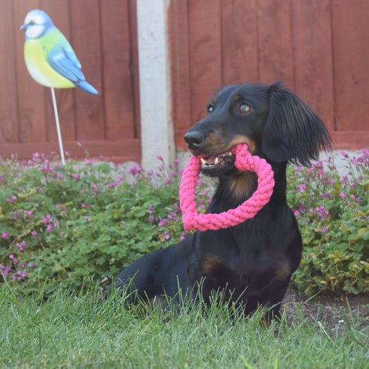 Heart Tugger Toy