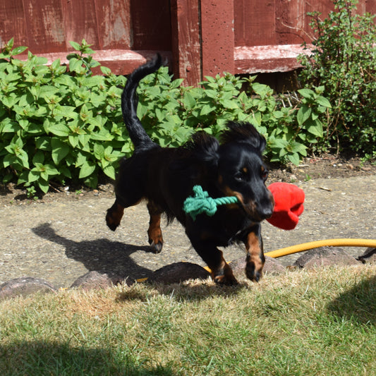 Rosie Tug Toy