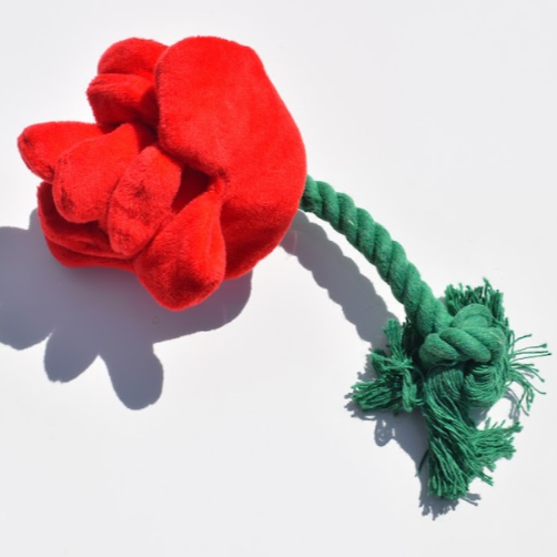 Rosie Tug Toy